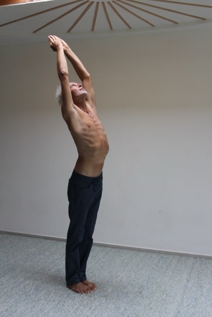 Yoga-Übung der stehende Halbmond für den Frieden, Schritt 2