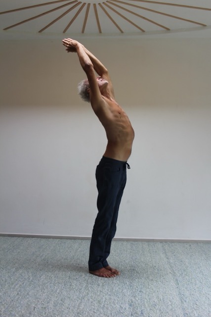 Yoga-Übung der stehende Halbmond für den Frieden, Schritt 3